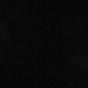 Meet your Posher, Maggie